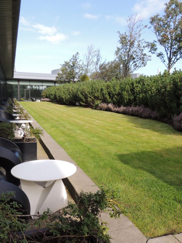 The Glasshouse Edinburgh Rooftop Garden Bedrooms